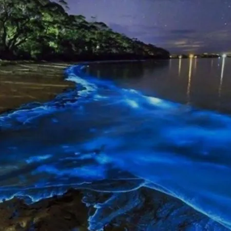 Casa Tempis Apartament