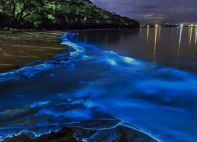 Casa Tempis Διαμέρισμα