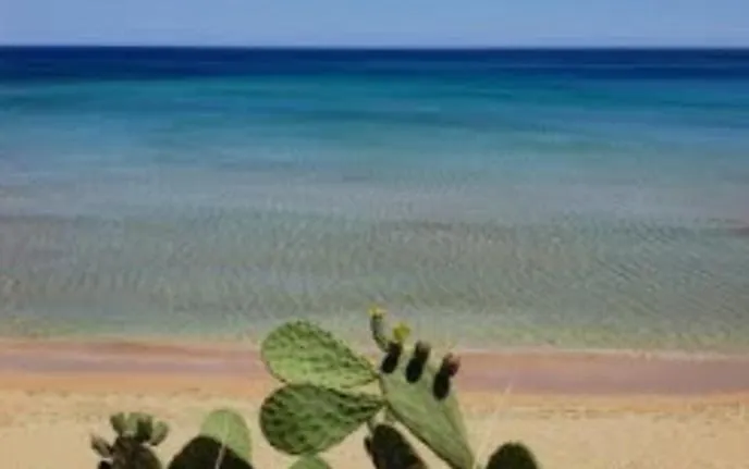 Casa Tempis * Νετούνο